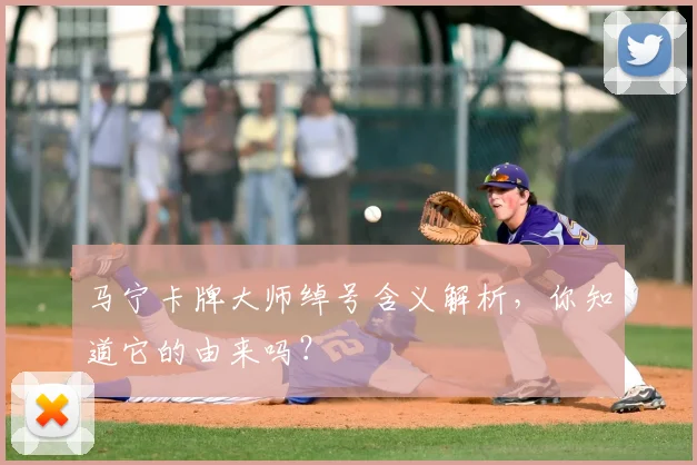 马宁卡牌大师绰号含义解析，你知道它的由来吗？